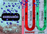 BHL Ion Cleanse